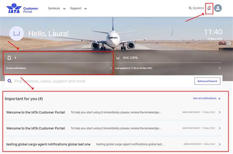 iata bsp customer portal|iata bsplink customer portal.